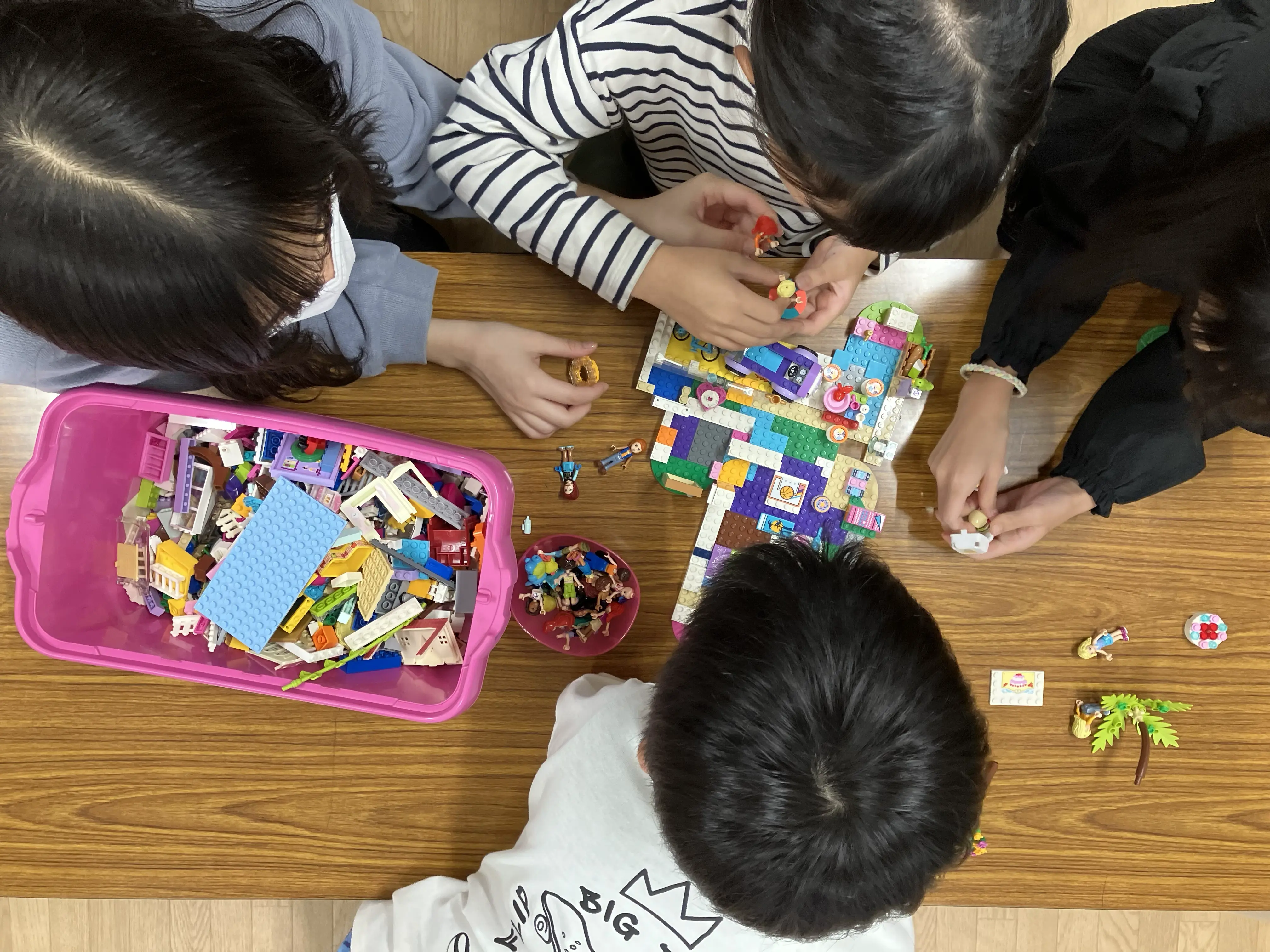 みどりがくどう