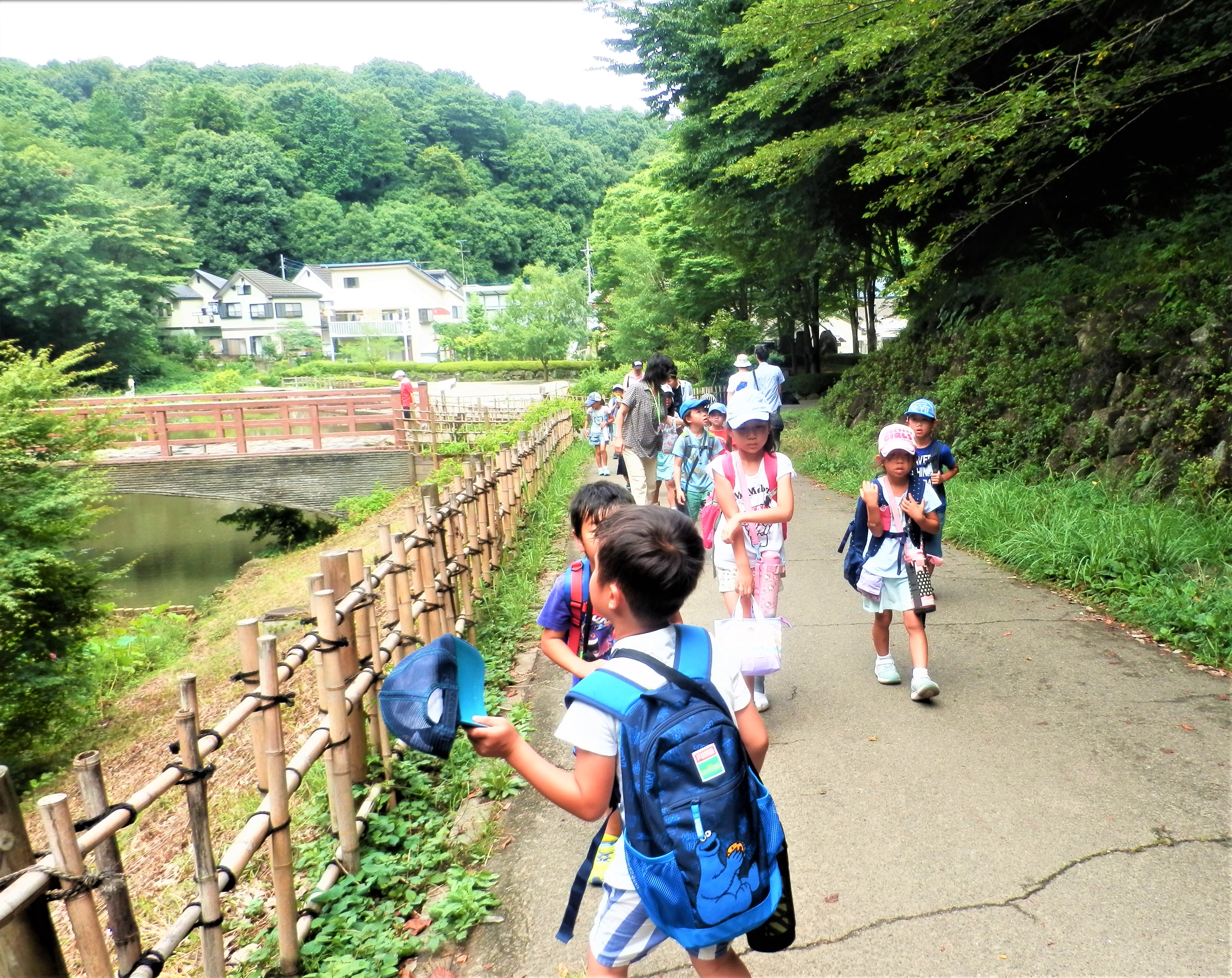 みどりがくどう